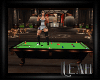 xLx Animated Pool Table