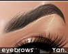Y: HD brows | curved