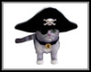 Animated Pirate Cat