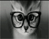 [KG] Poster Hipster Cat