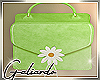 SG👑Daisy green purse