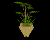 ~D~ Bamboo Plant v.1