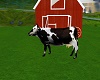 farm cow