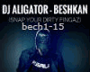 DJ Aligator - Bechkan