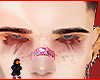 Chase brows