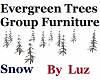 Evergreen Trees Group