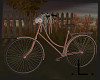.L. Fall Bike Rose