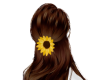 [SE] Sunflower Brown