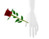 Hand Held Rose