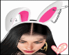🐰Bunny Ears🐰