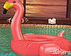 Miami Flamingo Float