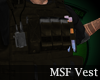 =LTS=MSF Vest