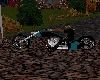 turq and black bike