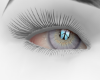 whaite eyes