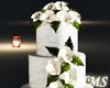 H! Wedding Cake + Pose