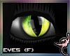 (IR)Black Cat: Eyes (F)