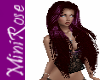 Xena Purple Passion