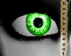 [D] Crystal Eyes:Green