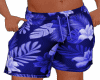 Boys Blue Shorts/Swim