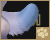 ~AM~ Sufi Tail v3