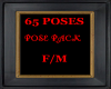 DS 65 Poses pose pack