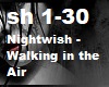 Nightwish - Walking in t