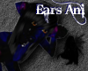 Star Kitty Ears