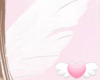 fairy wings in white