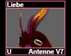 Liebe Antenne V7