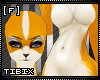 [F] Orange Fox Kini
