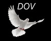 White Doves Dj Light