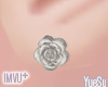 Rose Earrings Silver