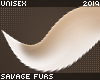 . Fennec | tail