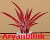 ~ARY~ Red Glam Plant