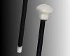 Burlesque Cane✨