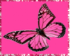 pink butterfly fans