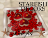 [B] STARFISH CANDLES