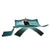 teal  pose bed