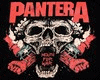 Pantera Mouth For War