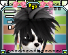 |KyO| Panda hair 1