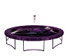 purple rose trampoline40