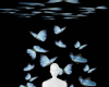 BG Black Butterfly 3