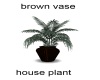 Brown Vase House Plant