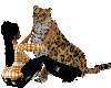 Tan Leopard Animated