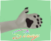 Night l Paws M
