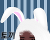 T. Bunny Ears Wht/Pnk