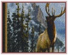 Elk Wall Portrait
