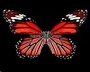 Butterfly Ore LR