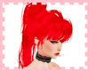 (OM)Cataleya Red