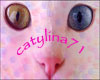 Goth Catylina71NMcadae